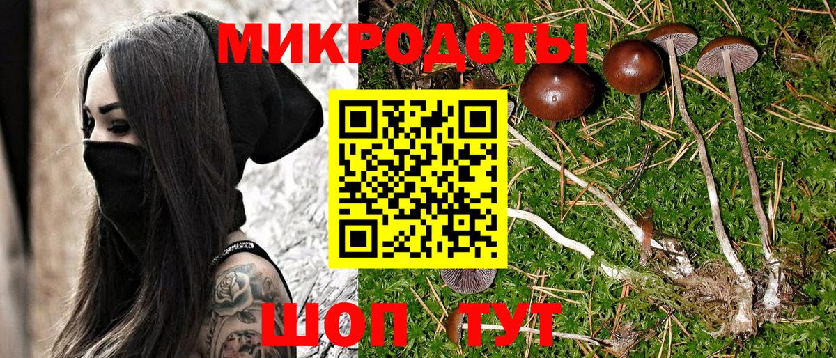 Галлюциногенные грибы GOLDEN TEACHER  Вход с VPN  Тула  Галлюциногенные грибы мицелий 